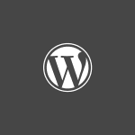 Why Professional Designers Use WordPress?