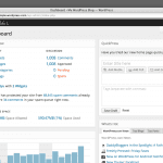 Why Professional Designers Use WordPress?