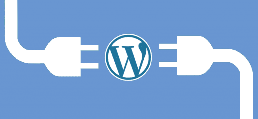 Why Professional Designers Use WordPress?